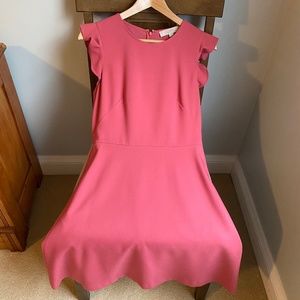 Loft Frill Sleeve Dress w pockets